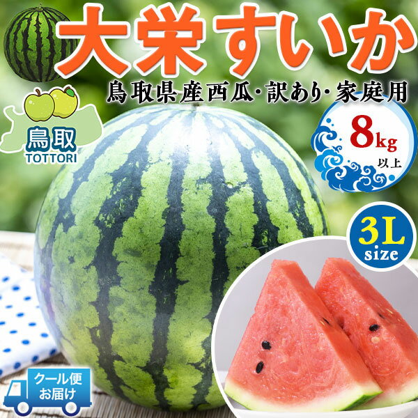 鳥取県産 大栄すいか 大栄西瓜 3Lサイズ 8kg以上 訳あり 【クール便指定】・家庭用(贈答用と同じ糖度) 段ボール箱入り【鳥取県産西瓜】お中元・家庭用・すいかギフト・送料無料