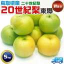 最大2000円クーポン◆20世紀 梨 東郷 訳あり 鳥取県産 二十世紀 約5Kg【クール便指定】鳥取ブランド ご家庭用 家庭用ギフト【予約】2025年9月中旬...