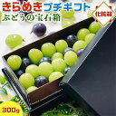 お中元 ぶどう フルーツギフト きらめきプチギフト 300g 化粧箱 ぶどうの宝石箱 ジュエルボックス シャインマスカット 巨峰 ピオーネ 福岡 岡山 山梨 夏...