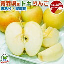 訳あり 青森県産 トキ りんご 12玉 ご家庭用 サイズ大小お任せ|希少品種 ご家族用ギフト お中元 お歳暮 敬老の日 フルーツ 果物 お試し 傷あり スレあり...