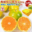 有田 みかん ゆら早生みかん 小玉 秀品 2Sサイズ 10kg 贈答用(高糖度) JAありだ選果【和歌山県・有田産・贈答用】見た目より甘い 秋のギフト・送料無料 10月上~中旬頃から出荷開始 予約品