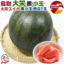 鳥取 大栄すいか 大栄 黒小玉 西瓜 2Lサイズ 1玉入 2.5kg 段ボール箱入り【糖度検査済み・鳥取県産西瓜】敬老の日・遅れてごめんね敬老の日・すいかギフト...