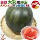鳥取 大栄すいか 大栄 黒小玉 西瓜 Lサイズ 5玉入(2kg×5) 段ボール箱入り【糖度検査済み・鳥取県産西瓜】敬老の日・遅れてごめんね敬老の日・すいかギフト...