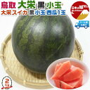 鳥取 大栄すいか 大栄 黒小玉 西瓜 Lサイズ 1玉入 2kg【クール便指定】段ボール箱入り【糖度検査済み・鳥取県産西瓜】敬老の日・遅れてごめんね敬老の日・すい...