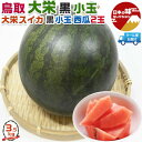 鳥取 大栄すいか 小玉 大栄 黒小玉西瓜 4Lサイズ 2玉入 3.5kg【クール便指定】段ボール箱入り【糖度検査済み・鳥取県産】遅れてごめんね 敬老の日 ギフト...