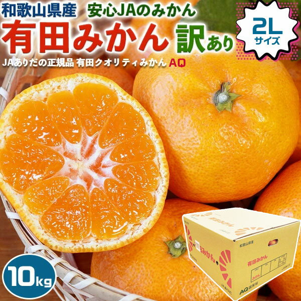 有田 みかん 訳あり (茶箱) 家庭用 10kg (9キロ) 2Lサイズ JAありだ AQ (有田クオリティ) 和歌山県産 傷多め JA正規品 AQ選果場 家庭向け お歳暮 送料無料 お買得4480円