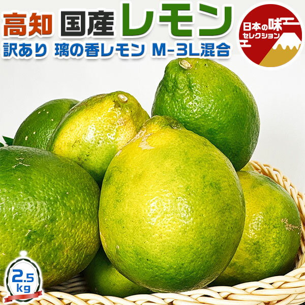    θ ι 2.5kg M-3L  Ȣ åԻ  ̡ե롼ġ   ꥹ...