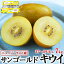 キウイフルーツ　約7kg　サンゴールド 大箱37-59玉入【クール便指定】Zespri Kiwi Fruit ニュージーランド産　秋のギフト・お歳暮・クリスマスギフト・送料無料