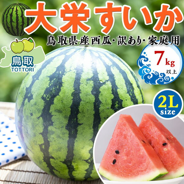 鳥取県産　大栄すいか　大栄西瓜 2Lサイズ 7kg以上　訳あり・家庭用(贈答用と同じ糖度)　段ボール箱入..