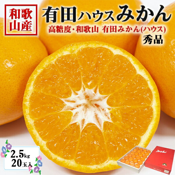 みかん 有田みかん (ハウスみかん)　秀 2.5kg 20玉入【和歌山県産・贈答用】お中元・家庭用・父の日 でも 2024 プレゼント ギフト 食べ物　ギフト・送料無料