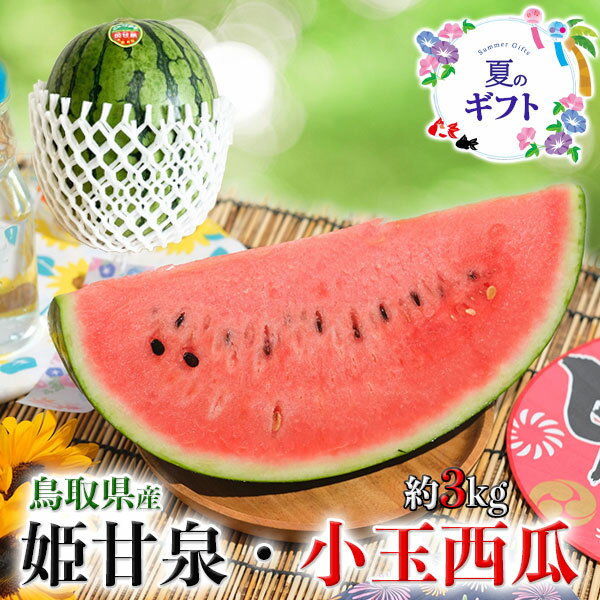 Rakuten - 鳥取　姫甘泉 すいか　小玉 西瓜 3kg【鳥取県産西瓜】お中元 家庭用 スイカギフト 送料無料