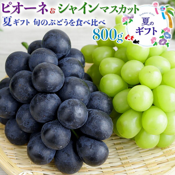 ぶどう 詰合せ 1箱 約800g シャインマスカット & ピオーネの食べ比べセット 山梨県産又は岡山県又は福岡県産　遅れてごめんね夏のギフト お中元・敬老の日・家庭用・送料無料のサムネイル