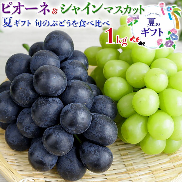 ぶどう 詰合せ 1箱 約1kg シャインマスカット & ピオーネの食べ比べセット 山梨県産又は岡山県又は福岡県産　遅れてごめんね夏のギフト お中元・敬老の日・家庭用・送料無料のサムネイル
