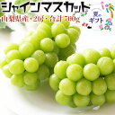 シャインマスカット 2房・合計約700g・家庭用【山梨県産 ぶどう】遅めの夏ギフト お中元 敬老の日 家庭用 送料無料 クール便