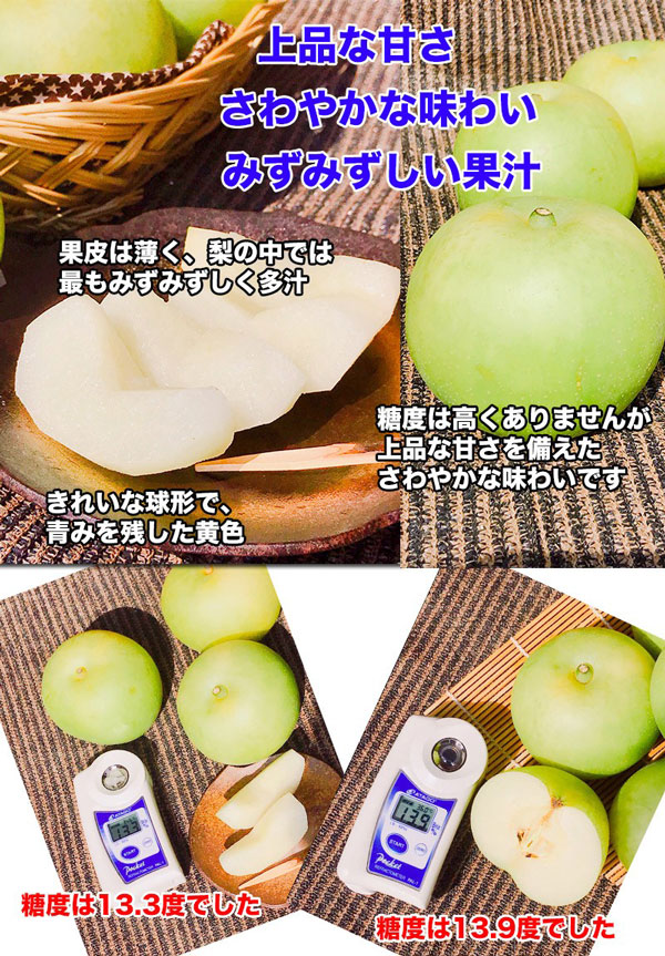 鳥取県産 梨 秀品 20世紀梨　5kg 18〜24玉入 贈答用【クール便指定】青梨　遅めの夏ギフト・遅れてごめんねお中元・敬老の日・ギフト・送料無料 gift-hiroba-10006237 ギフト広場 楽天市場店 サンプル画像3