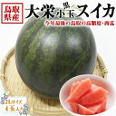 最大2000円クーポン◆鳥取県産 大栄すいか 黒小玉 大栄 黒小玉 西瓜 2Lサイズ 2.5kg 4玉入 段ボール箱入り【JA糖度センサー選果済み・鳥取県産西瓜】敬老の日・遅れてごめんね敬老の日・すいかギフト・送料無料