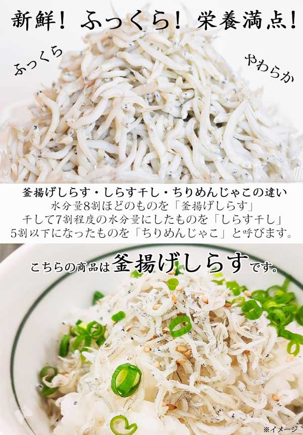 釜揚げしらす 2kg ｜ 新物 　国産｜しらす丼などに　お試し　海鮮　海産物 　敬老...