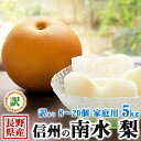 長野県産 梨 訳あり 南水梨 5kg 8~20個入り 家庭用 高糖度 信州産 秋のギフト・お歳暮・ハロウィン・送料無料
