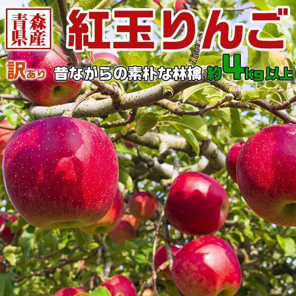 青森県産 紅玉りんご 4kg以上 訳あり・ご家庭用｜家族・家庭向け・アップルパイなどお料理に最適・送料無料