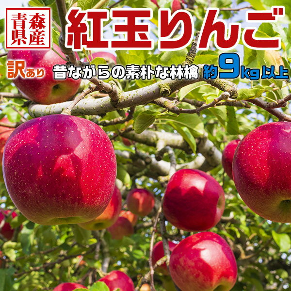 青森県産 紅玉りんご 9kg以上(10kg箱) 訳あり・ご家庭用|家族・家庭向け・アップルパイなどお料理に最適送料無料