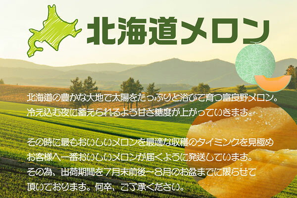 お中元　夏ギフト　富良野 メロン 1.6キロ 贈答用 1玉 化粧箱　赤肉メロン　北海道...