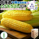 お中元 (8月下旬〜9月中旬出荷) 北海道 十勝 幕別町産 とうもろこし わくわくコーン(ゴールデンコーン)10本セット 北海道人気種 北海道から産地直送 高級...