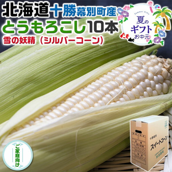 【最大2000円OFFクーポン】お中元(8月下旬～9月中旬出荷)　北海道 十勝 幕別町産 とうもろこし　雪の妖精 (シルバーコーン)10本セット　北海道人気種　北海道から産地直送　高級コーン　スイートコーン　遅めの夏ギフト　野菜　送料無料　冷蔵便　予約品silver-corn-10-012