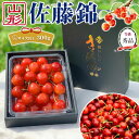 最高級 さくらんぼ 佐藤錦 秀品 Lサイズ以上 300g(1パック) 贈答用・化粧箱 006|最高級チェリー・プレゼント・早めのお中元・夏ギフト・高級果物 高級...