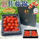 【最大2000円OFFクーポン】最高級 さくらんぼ 佐藤錦 秀品 Lサイズ以上 600g (300g×2パック) 贈答用・化粧箱 002|最高級チェリー・プレゼ...