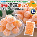 冷凍みかん 愛媛みかん むき・皮なし(西宇和みかん) 1kg 小玉20〜33個前後 西宇和ミカン使用(八幡浜みかん)|高級蜜柑使用の冷凍ミカン|愛媛県産 高級み...