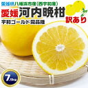愛媛 河内晩柑 (かわちばんかん) 7.5kg 訳あり・家庭用 約15〜50個前後 西宇和地区(八幡浜)|宇和ゴールド同品種|愛媛県産 みかん 果物 柑橘 有名...