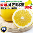 愛媛 河内晩柑 (かわちばんかん) 10kg 訳あり・家庭用 約20〜65個前後 西宇和地区(八幡浜)|宇和ゴールド同品種|愛媛県産 みかん 果物 柑橘 有名農...