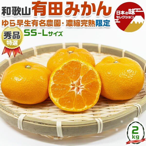完熟 有田 みかん 2kg 等級：秀品・特選 サイズ：SS〜Lサイズ混合 甘さに自信あり【和歌山県有田産】 【出荷日お任せ・指定日不可】 お歳暮 クリスマス ギフト 送料無料(4)