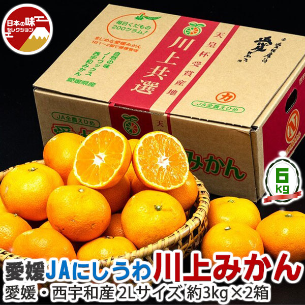 みかん　JAにしうわ 　川上みかん 愛媛　西宇和産　 2Lサイズ 　計約9kg　約3kg×3箱 ※常温【愛媛フェア】｜ お取り寄せ フルーツ 果物　蜜柑　お歳暮　冬のギフト 送料無料　天皇杯受賞産地 203b00611 gift-hiroba-10008356 ギフト広場 楽天市場店 パッケージ画像