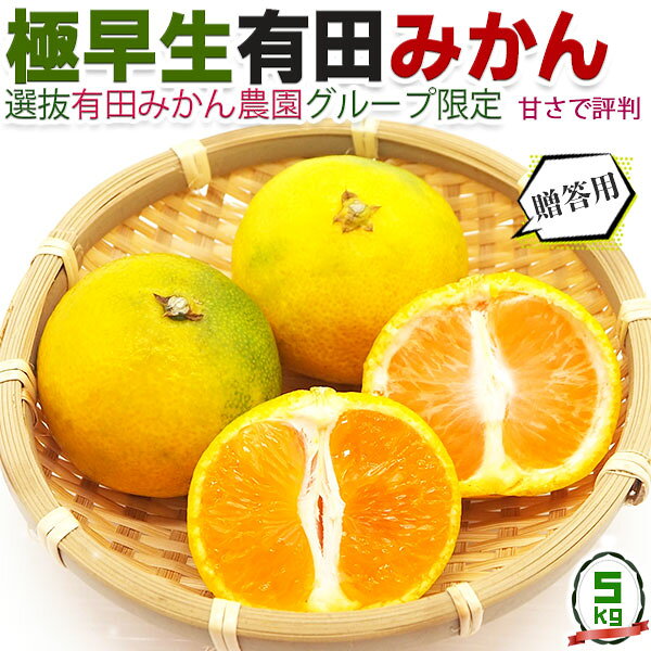 極早生　有田 みかん 約 5kg 贈答用【和歌山県・有田産】サイズ混合　お任せ 【出荷日お任せ・指定日不可】 フルーツ 果物 蜜柑 柑橘 ご家庭 ギフト ハロウィン お歳暮 送料無料