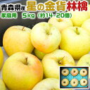 青森りんご 星の金貨 家庭用 5kg 林檎【青森県産】予約品:10月下旬~収穫次第順次・出荷開始【出荷日お任せ・指定日不可】送料無料