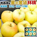 青森りんご 星の金貨 家庭用 3kg 林檎【青森県産】予約品:10月下旬~収穫次第順次・出荷開始【出荷日お任せ・指定日不可】送料無料