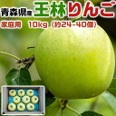 青森りんご 王林 家庭用 10kg 林檎【青森県産】予約品:11月中旬前後~収穫次第順次・出荷開始【出荷日お任せ・指定日不可】送料無料