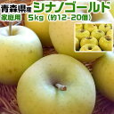 青森りんご シナノゴールド 家庭用 5kg 林檎【青森県産】予約品:11月下旬前後~収穫次第順次・出荷開始【出荷日お任せ・指定日不可】送料無料