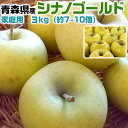 青森りんご シナノゴールド 家庭用 3kg 林檎【青森県産】予約品:11月下旬前後~収穫次第順次・出荷開始【出荷日お任せ・指定日不可】送料無料