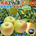 青森りんご ぐんま名月 家庭用 10kg 林檎【青森県産】予約品:11月上旬前後~収穫次第順次・出荷開始【出荷日お任せ・指定日不可】送料無料