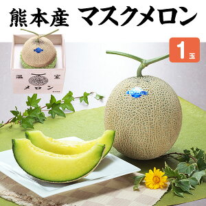 メロン マスクメロン 1玉 1.5kg 贈答用「果物の王様」百貨店品質の高級品・ギフト・送料無料