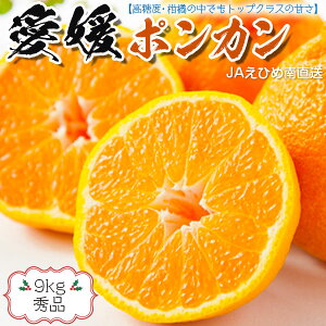 愛媛ポンカン　9kg　2Lサイズ　(秀品)　贈答用 　愛媛県産　高糖度　柑橘の中でもトップクラスの甘さ！　ギフト・送料無料