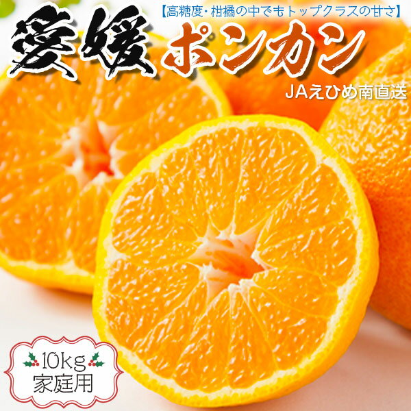 愛媛ポンカン【10kg】 家庭用 サイズ混合 愛媛県産 高糖度 柑橘の中でもトップクラスの甘さと少しの酸味！ ギフト送料無料
