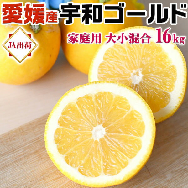 宇和ゴールド　16kg (8kg