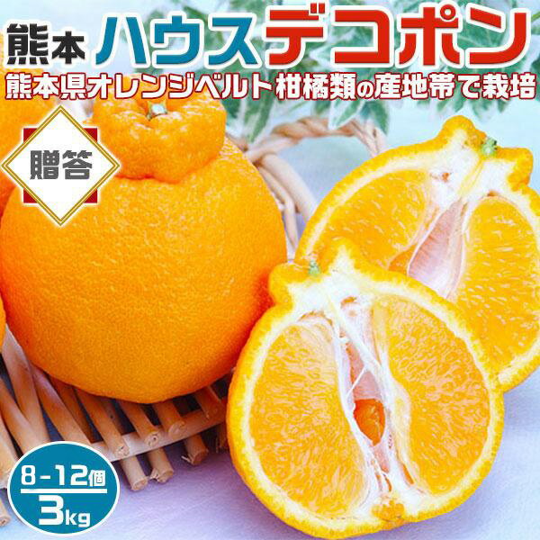 【最大2000円OFFクーポン】デコポン 不知火と同品種 3kg 8-12個 贈答用 ギフト 熊本県産 みかん 果物 フルーツ デザート 蜜柑 贈物 プレゼント オレンジベルト 送料無料