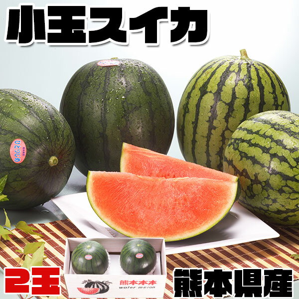 商品名 小玉　スイカ　熊本県産　1箱 小玉・1.7kg × 2玉　高級すいか｜化粧箱入り　贈答用　ギフト・送料無料 お届けの目安 2-5営業日前後で出荷予定※収穫状況によって申込締切・配達予定を変更する場合があります。 配送に関しまして 送料無料※北海道・東北は別途送料北海道・沖縄・離島でお届けまで時間がかかる地域の場合は、商品が傷むため配送不可となる場合がございます。 内容量 1箱 小玉・1.7kg(2玉) ｜化粧箱入り 原産地 熊本県産 コメント そもそも小玉スイカは大玉スイカが小さくなったものではなく、品種改良の結果生まれた新しい品種のおいしいスイカです。小玉スイカには見た目が大玉スイカがコンパクトになったようものと、表皮が真っ黒な黒小玉スイカがあります。違う味がするように見えますが、実は味は変わりはありません。※発送する際は果皮の色はおまかせになります。熊本県だからこそお届けできるスイカ、大切な方への贈答用にいかがでしょうか？ 変更手数料について ◆◆◆【配送業者の「お届け先変更・転送」有料化についてのご案内】◆◆◆ ご注文頂きました内容で「お届け先住所」などのご変更、又は訂正のある場合は、 ご注文後、速やかにご連絡いただけますよう、何卒よろしくお願い申し上げます。 ※産地出荷後に「お届け先変更」、又は「転送」については「別途一般向け送料」がかかることになりました。予めご了承下さいませ。 ※転送された場合、お受取人様に代引きでご請求される運送業者もございますので予めご了承ください。 ※長期不在・又は配送業者の期限でメーカーや農園に戻った場合も往復の送料がかかります。 ※参考片道送料　常温便　⇒　770円〜1300円 ※参考片道送料　クール便　⇒　1250円〜2850円 ※よくあるお問い合わせ例：　引っ越しなどで住所が変わった、相手先の住所を入れ忘れた、住所が間違っていたなど。夏の果物に思えるスイカは今や年間を通じて食べられるようになりました。 そもそも小玉スイカは大玉スイカが小さくなったものではなく、品種改良の結果生まれた新しい品種のおいしいスイカです。 小玉スイカには見た目が大玉スイカがコンパクトになったようものと、表皮が真っ黒な黒小玉スイカがあります。違う味がするように見えますが、実は味は変わりはありません。 ※発送する際は果皮の色はおまかせになります。商品情報■商品名：　小玉　スイカ　熊本県産　1箱 小玉・1.7kg × 2玉　高級すいか｜化粧箱入り　贈答用　ギフト・送料無料 ■お届けの目安：　2-5営業日前後で出荷予定 ※収穫状況によって申込締切・配達予定を変更する場合があります。 ※産地「直送品」となります。※北海道・沖縄・離島は配送不可の場合がございます。　 ■内容量：　1箱 小玉・1.7kg(2玉) ｜化粧箱入り ■原産地：　熊本県産 ■コメント：　 そもそも小玉スイカは大玉スイカが小さくなったものではなく、品種改良の結果生まれた新しい品種のおいしいスイカです。小玉スイカには見た目が大玉スイカがコンパクトになったようものと、表皮が真っ黒な黒小玉スイカがあります。違う味がするように見えますが、実は味は変わりはありません。※発送する際は果皮の色はおまかせになります。熊本県だからこそお届けできるスイカ、大切な方への贈答用にいかがでしょうか？