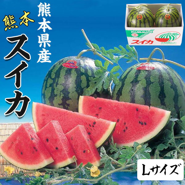 リアルタイムランキング1位！ すいか スイカ 熊本県産 1箱 6kg × 2玉 Lサイズ 高級すいか 等級：秀(赤)｜化粧箱入り 贈答用 ギフト・送料無料