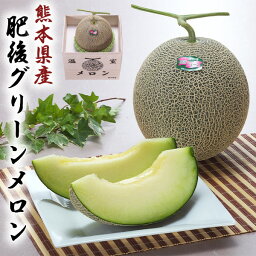 肥後グリーンメロン　1.5kg × 1玉 贈答用 熊本県産 メロン 「果物の王様」 糖度は16度以上 百貨店品質の高級品 化粧箱入りギフト・送料無料