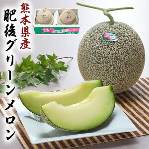 肥後グリーンメロン　1.6kg × 2玉 贈答用 熊本県産 メロン 「果物の王様」 糖度は16度以上 百貨店品質の高級品 化粧箱入りギフト・送料無料